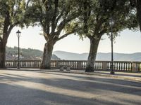 Suburban Residential Area in Tuscany