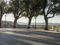 Suburban Residential Area in Tuscany