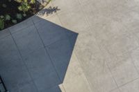 shadow of an umbrella on the ground next to a bench and tree in the distance