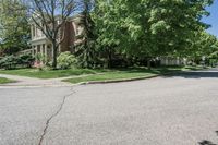 residential street with houses on one corner and trees to the other side of a road