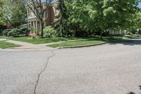 residential street with houses on one corner and trees to the other side of a road