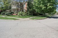 residential street with houses on one corner and trees to the other side of a road