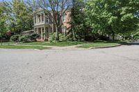 residential street with houses on one corner and trees to the other side of a road