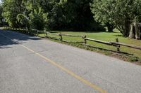 Suburban Road: Asphalt in the Daylight