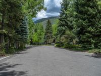 an empty street lined with trees and a mountain range in the distance in the back