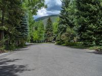 an empty street lined with trees and a mountain range in the distance in the back