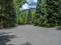 an empty street lined with trees and a mountain range in the distance in the back