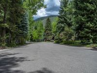 an empty street lined with trees and a mountain range in the distance in the back