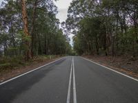 the open road is paved with thin white lines on each side of it, leading to several tall trees and lush green bushes