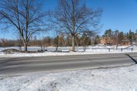 a traffic light sitting on the side of a road in the snow next to trees