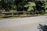 a skateboarder is riding on a street by trees, wood fence and bushes