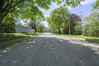 Suburban Road in Toronto, Canada Residential Area