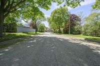 Suburban Road in Toronto, Canada Residential Area