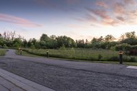 paved road leading to a wooded area at dusk with traffic cones on the side of the road