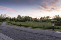 paved road leading to a wooded area at dusk with traffic cones on the side of the road