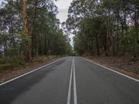 an empty road with two white lines painted on it and some tall trees on the sides and a blue sky in the background