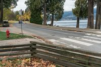 wooden fence surrounds street and treed on road on side of city street near water