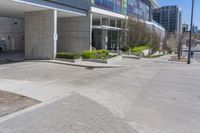 a sidewalk that has bushes on each side of it with buildings in the background and a building across the street