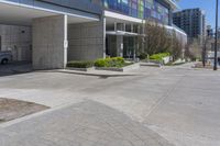 a sidewalk that has bushes on each side of it with buildings in the background and a building across the street