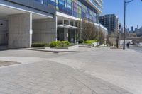 a sidewalk that has bushes on each side of it with buildings in the background and a building across the street