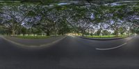 three different views of a wide angle of street as seen from a fish eye lens