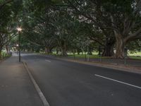 a street with trees lining the sidewalk next to it and a row of street lights