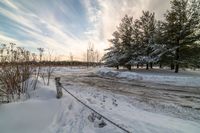 the fire hydrant is covered in snow by a fence of trees and bushes next to the road