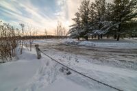 the fire hydrant is covered in snow by a fence of trees and bushes next to the road