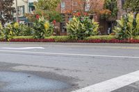 an empty city street lined with tall bushes and plants as well as white line painted on the road