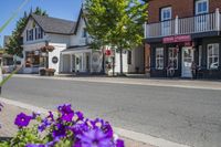 several purple flowers are blooming on the sidewalk outside a store and building in the village