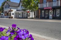 several purple flowers are blooming on the sidewalk outside a store and building in the village