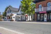 several purple flowers are blooming on the sidewalk outside a store and building in the village