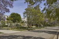 a view of the street in a suburban town with many trees lining the sidewalk and buildings