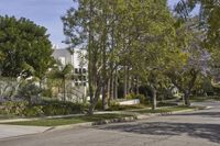 a view of the street in a suburban town with many trees lining the sidewalk and buildings