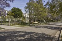 a view of the street in a suburban town with many trees lining the sidewalk and buildings