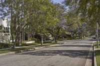 a view of the street in a suburban town with many trees lining the sidewalk and buildings