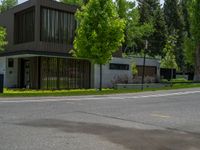 an empty street lined with trees and a mountain range in the distance in the back