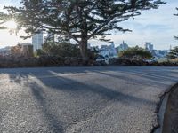 Suburban View of Clear Sky and Road Curve in San Francisco, California, USA