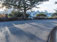Suburban View of Clear Sky and Road Curve in San Francisco, California, USA
