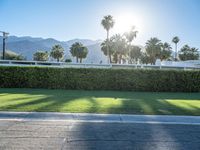 Suburban Villa on Palm Springs Residential Road