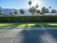 Suburban Villa on Palm Springs Residential Road