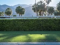 Suburban Villa on Palm Springs Residential Road