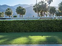 Suburban Villa on Palm Springs Residential Road