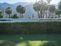 Suburban Villa on Palm Springs Residential Road