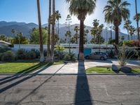 a road that has cars parked near the side of it and palm trees in the yard behind the driveway