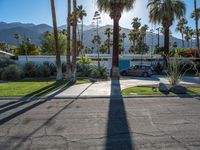 a road that has cars parked near the side of it and palm trees in the yard behind the driveway