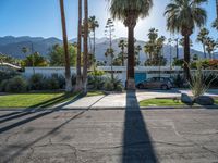 a road that has cars parked near the side of it and palm trees in the yard behind the driveway