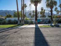 a road that has cars parked near the side of it and palm trees in the yard behind the driveway