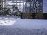 an open courtyard with glass windows near the trees and bushes is covered in snow and ice