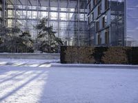 an open courtyard with glass windows near the trees and bushes is covered in snow and ice